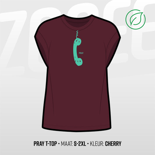 Lifestyle: Pray Tee • Ladies